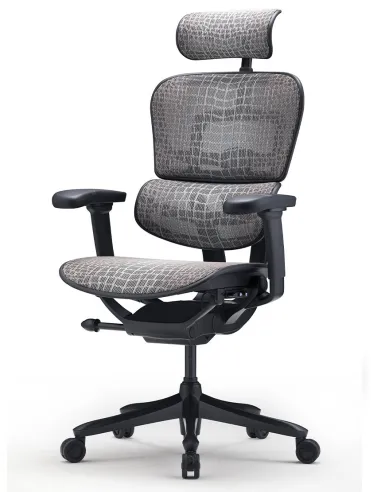 Кресло ERGOHUMAN SE (EHSE-AB-HAM-5D-E-D+LM-CH), эргономичное, черное - цена Киев, Днепр, Одесса, Львов, Харьков