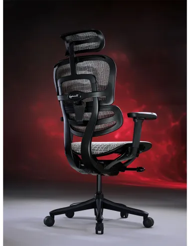 Кресло ERGOHUMAN SE (EHSE-AB-HAM-5D-E-D+LM-CH), эргономичное, черное - цена Киев, Днепр, Одесса, Львов, Харьков