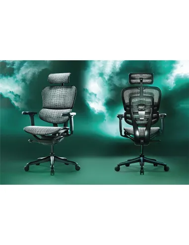 Кресло ERGOHUMAN SE (EHSE-AB-HAM-5D-E-D+LM-CH), эргономичное, черное - цена Киев, Днепр, Одесса, Львов, Харьков