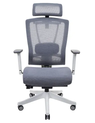 Кресло ERGO CHAIR 2 MESH WHITE, эргономичное, серое - цена Киев, Днепр, Одесса, Львов, Харьков