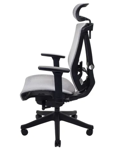 Кресло ERGO CHAIR 2 MESH BLACK, эргономичное, бежевое - цена Киев, Днепр, Одесса, Львов, Харьков