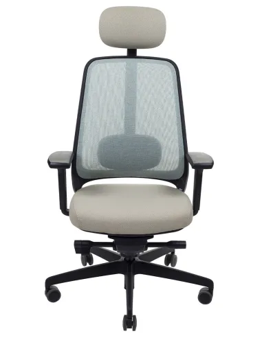 Кресло ROVO R22 6050 EB эргономичное, с эрго-балансом - цена Киев, Днепр, Одесса, Львов, Харьков