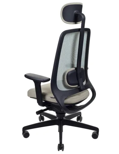 Кресло ROVO R22 6050 EB эргономичное, с эрго-балансом - цена Киев, Днепр, Одесса, Львов, Харьков