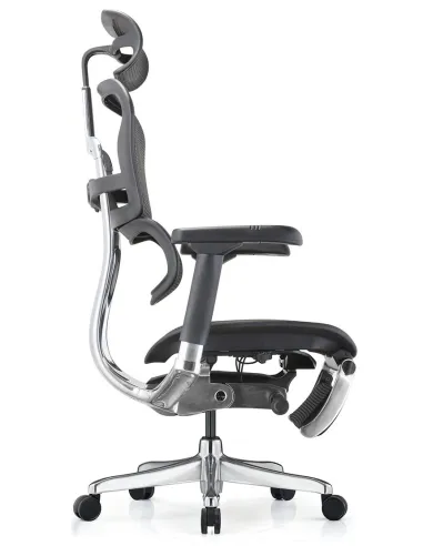 Кресло ERGOHUMAN ELITE 2 (EHE2-AB-HAM-5D-L-LM, сетка T-168-B1 BLACK), эргономичное, с подставкой под ноги - цена Киев, Днепр, О