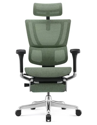 Кресло MIRUS-IOO 2 (IOOE2-AB-HAM-5D-L-LMT, СЕТКА Т-168-B6-GREEN), эргономичное, с подставкой под ноги - цена Киев,  Днепр, Одесс