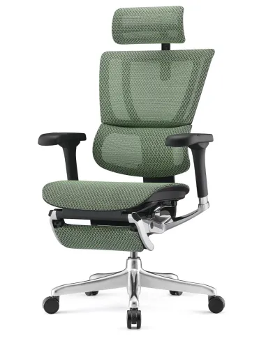 Кресло MIRUS-IOO 2 (IOOE2-AB-HAM-5D-L-LMT, СЕТКА Т-168-B6-GREEN), эргономичное, с подставкой под ноги - цена Киев,  Днепр, Одесс