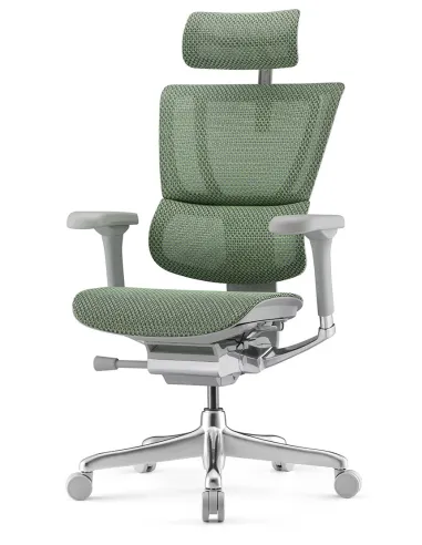 Крісло MIRUS-IOO 2 (IOOE2-AG-HAM-5D-L, СЕТКА Т-168-B6 GREEN), ергономічне - ціна Київ, Дніпро, Одеса, Львів, Харків