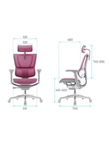 Крісло MIRUS-IOO 2 (IOOE2-AG-HAM-5D-L, СЕТКА Т-168-B5 PINK), ергономічне -ціна Київ, Дніпро, Одеса, Львів, Харків