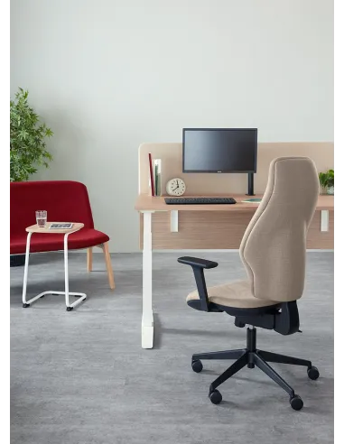 Кресло TORASEN ORTHOPAEDICA OC117HA ортопедическое - купить Киев, Днепр, Одесса, Львов, Харьков