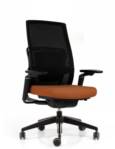 Кресло EUROSIT MORPHOS, эргономичное, черный корпус - цена Киев, Днепр, Одесса, Львов, Харьков