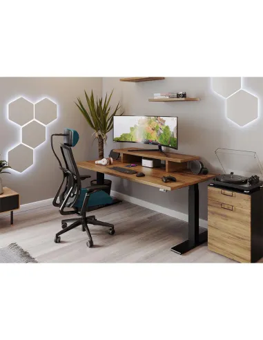 Кресло EUROSIT MORPHOS, эргономичное, черный корпус - цена Киев, Днепр, Одесса, Львов, Харьков