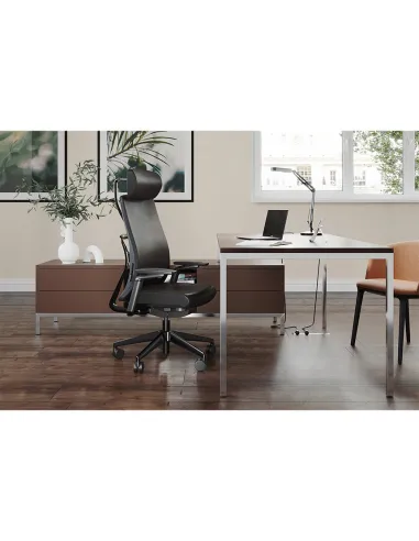 есло EUROSIT MORPHOS, эргономичное, кожаное - цена Киев, Днепр, Одесса, Львов, Харьков