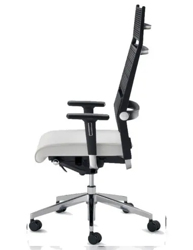 Кресло DAUPHIN LORDO эргономичное - цена Киев, Днепр, Одесса, Львов, Харьков