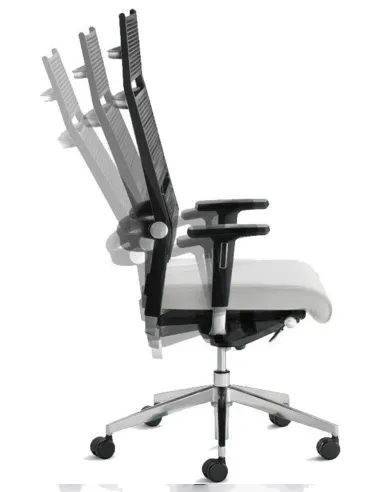 Кресло DAUPHIN LORDO эргономичное - цена Киев, Днепр, Одесса, Львов, Харьков