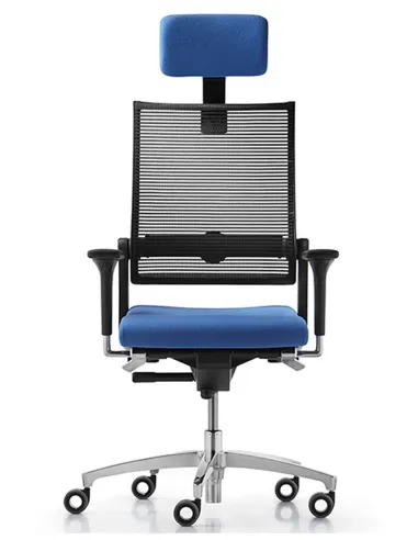 Кресло DAUPHIN LORDO FLEX эргономичное - цена Киев, Днепр, Одесса, Львов, Харьков