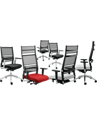 Кресло DAUPHIN LORDO эргономичное - цена Киев, Днепр, Одесса, Львов, Харьков