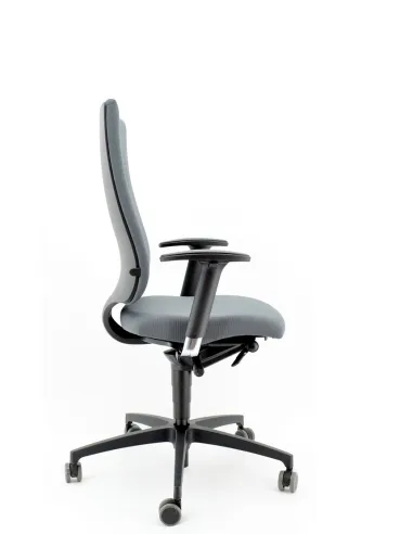 Кресло DAUPHIN INTOUCH IT 5410 эргономичное, тканевое - цена Киев, Днепр, Одесса, Львов, Харьков