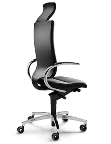 Кресло DAUPHIN INTOUCH IT-5420 эргономичное, кожаное - цена Киев, Днепр, Одесса, Львов, Харьков