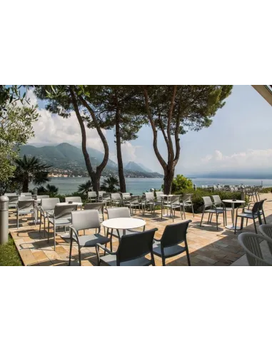 Стул PEDRALI ARA 316 серый, с подлокотниками - купить Киев, Днепр, Одесса, Львов, Харьков