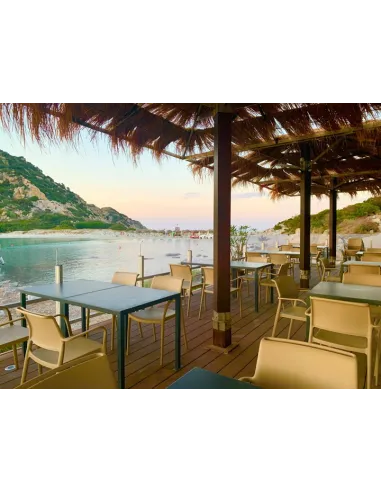 Стул PEDRALI ARA 316 серый, с подлокотниками - купить Киев, Днепр, Одесса, Львов, Харьков