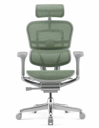 Кресло ERGOHUMAN ELITE 2 (EHE2-AG-HAM-5D-L, сетка T-168-B6 Green), эргономичное - купить Киев, Львов, Харьков, Днепр, Одесса