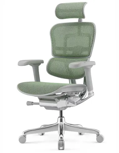 Кресло ERGOHUMAN ELITE 2 (EHE2-AG-HAM-5D-L, сетка T-168-B6 Green), эргономичное - купить Киев, Львов, Харьков, Днепр, Одесса