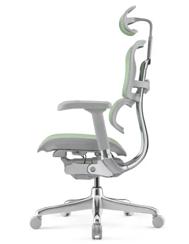 Кресло ERGOHUMAN ELITE 2 (EHE2-AG-HAM-5D-L, сетка T-168-B6 Green), эргономичное - купить Киев, Львов, Харьков, Днепр, Одесса