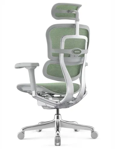 Кресло ERGOHUMAN ELITE 2 (EHE2-AG-HAM-5D-L, сетка T-168-B6 Green), эргономичное - купить Киев, Львов, Харьков, Днепр, Одесса