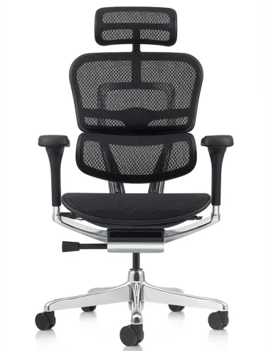 Кресло ERGOHUMAN ELITE 2 (EHE2-AB-HAM-5D-L, сетка T-168-B1 Black), эргономичное - купить Киев, Днепр, Одесса, Львов, Харьков