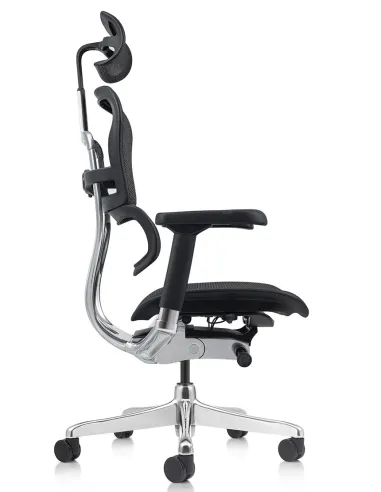Кресло ERGOHUMAN ELITE 2 (EHE2-AB-HAM-5D-L, сетка T-168-B1 Black), эргономичное - купить Киев, Днепр, Одесса, Львов, Харьков