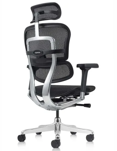 Кресло ERGOHUMAN ELITE 2 (EHE2-AB-HAM-5D-L, сетка T-168-B1 Black), эргономичное - купить Киев, Днепр, Одесса, Львов, Харьков