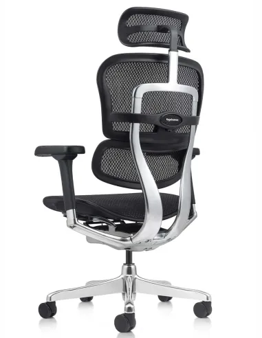 Кресло ERGOHUMAN ELITE 2 (EHE2-AB-HAM-5D-L, сетка T-168-B1 Black), эргономичное - купить Киев, Днепр, Одесса, Львов, Харьков