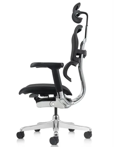 Кресло ERGOHUMAN ELITE 2 (EHE2-AB-HAM-5D-L, сетка T-168-B1 Black), эргономичное - купить Киев, Днепр, Одесса, Львов, Харьков