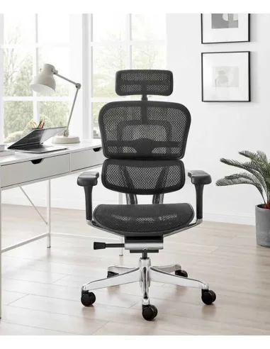 Кресло ERGOHUMAN ELITE 2 (EHE2-AB-HAM-5D-L, сетка T-168-B1 Black), эргономичное - купить Киев, Днепр, Одесса, Львов, Харьков