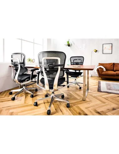 Кресло ERGOHUMAN ELITE 2 (EHE2-AB-HAM-5D-L, сетка T-168-B1 Black), эргономичное - купить Киев, Днепр, Одесса, Львов, Харьков