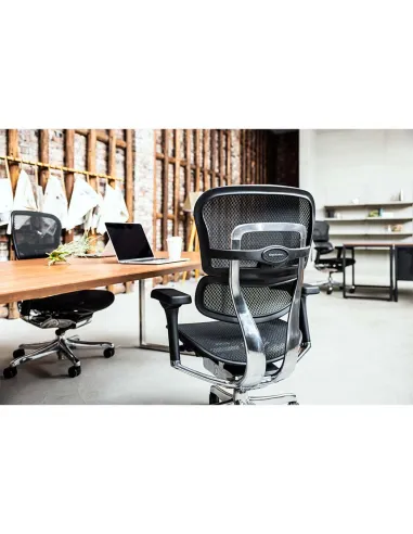 Кресло ERGOHUMAN ELITE 2 (EHE2-AB-HAM-5D-L, сетка T-168-B1 Black), эргономичное - купить Киев, Днепр, Одесса, Львов, Харьков