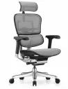 Крісло ERGOHUMAN ELITE 2 (EHE2-AB-HAM-5D-L, сітка T-168-B2 Natural), ергономічне - купити Київ, Дніпро, Одеса, Львів, Харків