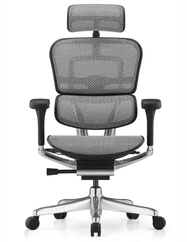 Кресло ERGOHUMAN ELITE 2 (EHE2-AB-HAM-5D-L, сетка T-168-B2 Natural), эргономичное - купить Киев, Днепр, Одесса, Львов, Харьков