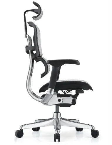 Кресло ERGOHUMAN ELITE 2 (EHE2-AB-HAM-5D-L, сетка T-168-B2 Natural), эргономичное - купить Киев, Днепр, Одесса, Львов, Харьков