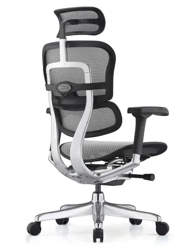 Кресло ERGOHUMAN ELITE 2 (EHE2-AB-HAM-5D-L, сетка T-168-B2 Natural), эргономичное - купить Киев, Днепр, Одесса, Львов, Харьков