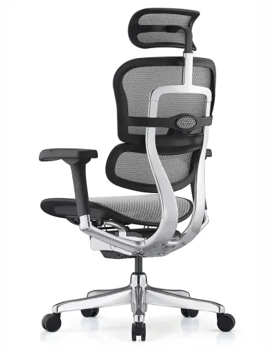 Кресло ERGOHUMAN ELITE 2 (EHE2-AB-HAM-5D-L, сетка T-168-B2 Natural), эргономичное - купить Киев, Днепр, Одесса, Львов, Харьков