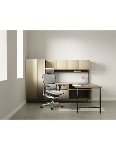 Кресло ERGOHUMAN ELITE 2 (EHE2-AB-HAM-5D-L, сетка T-168-B2 Natural), эргономичное - купить Киев, Днепр, Одесса, Львов, Харьков