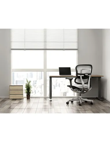 Кресло ERGOHUMAN ELITE 2 (EHE2-AB-HAM-5D-L, сетка T-168-B2 Natural), эргономичное - купить Киев, Днепр, Одесса, Львов, Харьков