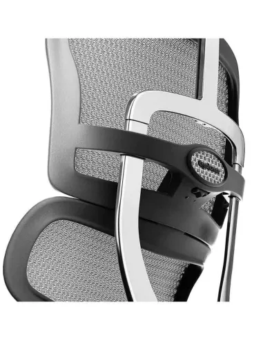 Кресло ERGOHUMAN ELITE 2 (EHE2-AB-HAM-5D-L, сетка T-168-B2 Natural), эргономичное - купить Киев, Днепр, Одесса, Львов, Харьков