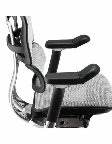 Кресло ERGOHUMAN ELITE 2 (EHE2-AB-HAM-5D-L, сетка T-168-B2 Natural), эргономичное - купить Киев, Днепр, Одесса, Львов, Харьков