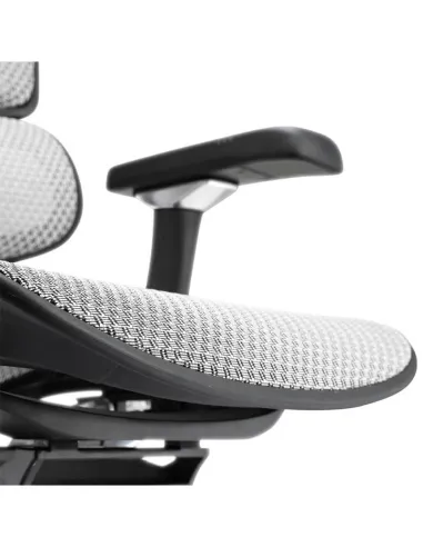 Кресло ERGOHUMAN ELITE 2 (EHE2-AB-HAM-5D-L, сетка T-168-B2 Natural), эргономичное - купить Киев, Днепр, Одесса, Львов, Харьков