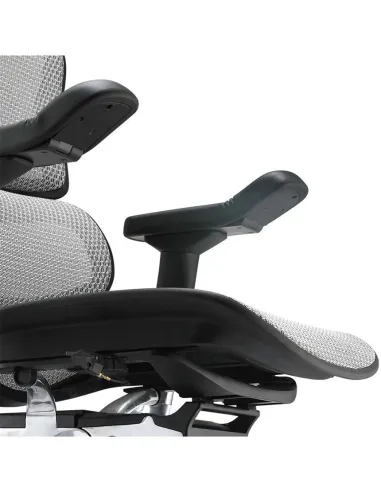 Кресло ERGOHUMAN ELITE 2 (EHE2-AB-HAM-5D-L, сетка T-168-B2 Natural), эргономичное - купить Киев, Днепр, Одесса, Львов, Харьков