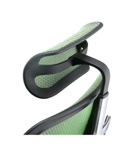 Кресло ERGOHUMAN ELITE 2 (EHE2-AB-HAM-5D-L, сетка T-168-B6 Green), эргономичное - купить Киев, Днепр, Одесса, Львов, Харьков
