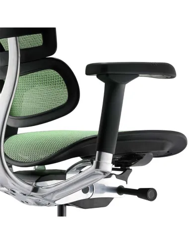 Кресло ERGOHUMAN ELITE 2 (EHE2-AB-HAM-5D-L, сетка T-168-B6 Green), эргономичное - купить Киев, Днепр, Одесса, Львов, Харьков