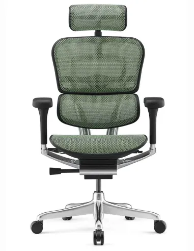 Кресло ERGOHUMAN ELITE 2 (EHE2-AB-HAM-5D-L, сетка T-168-B6 Green), эргономичное - купить Киев, Днепр, Одесса, Львов, Харьков